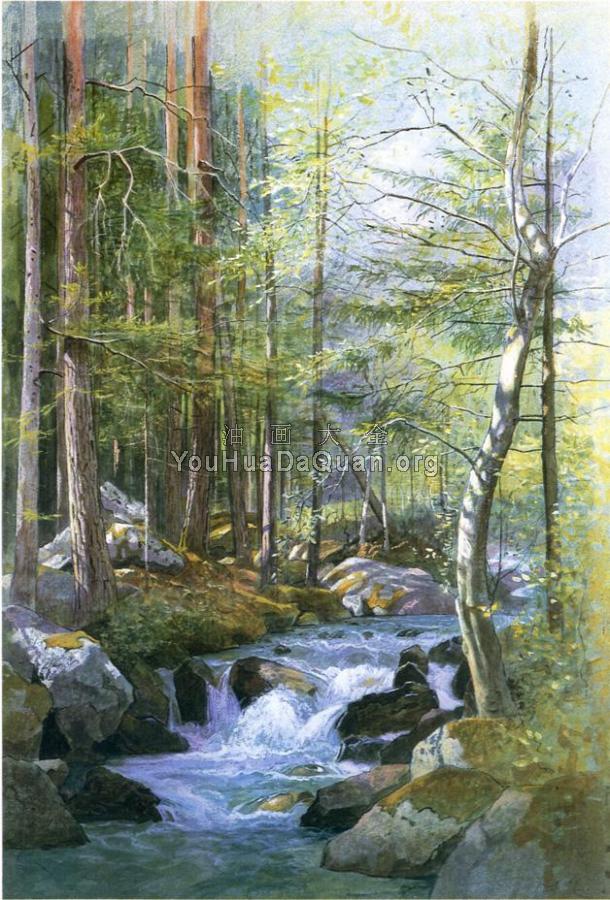Torrent in Wood behind Mill Dam Vahrn near Brixen Tyrol - 威廉·斯坦利·哈兹尔廷